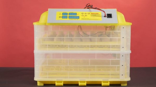 Инкубатор SITITEK 96 автоматический для куриных, перепелиных, утиных и др. яиц. Обзор!