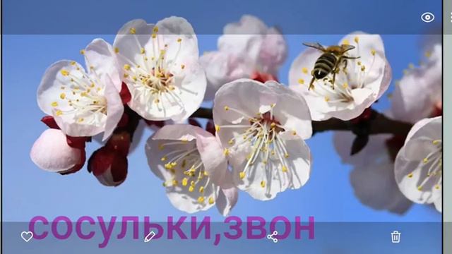 4 мая 2020 г. смотреть онлайн