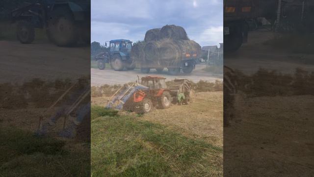 🔴Влог.Заготовка соломы на зиму 2020. Фото с полей🚜🚜🚜 смотреть онлайн