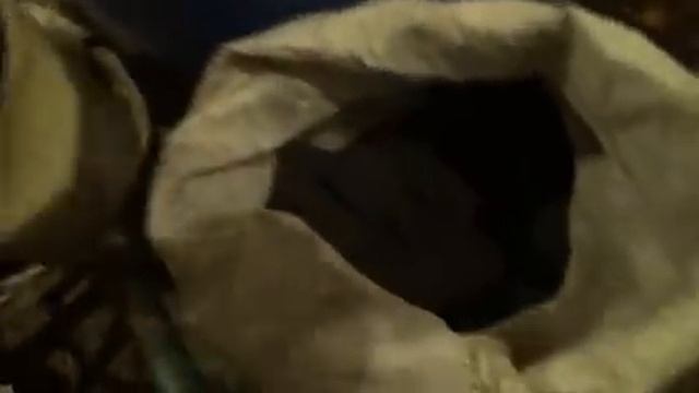 Топливные брикеты, дрова или уголь??? Чем выгодней топить? Эксперимент!!! смотреть онлайн