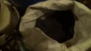 Топливные брикеты, дрова или уголь??? Чем выгодней топить? Эксперимент!!!