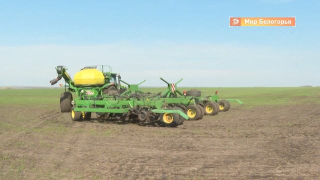 Как спасают озимые в Борисовском районе смотреть онлайн