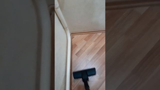 когда ставить елку?🎄#дом#елка#чистота#беспорядки