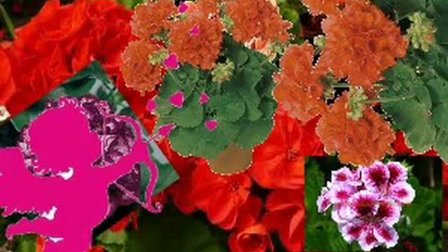 9.Cupidon si floarea de muscata ( scrisa si povestita de Iasura Rozalia) смотреть онлайн