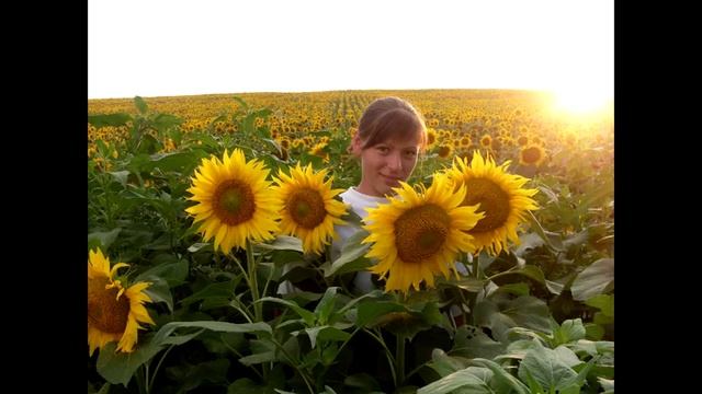 "Подсолнухи глубинки" Песня композитора Виктора Радзионтковского на стихи Г. Айвазян. Поет Катюша смотреть онлайн