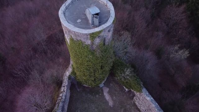 Covid 19, Руины Заузенбург, Brainstorm #4 смотреть онлайн