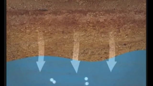 Мастерство и Смысл Жизни