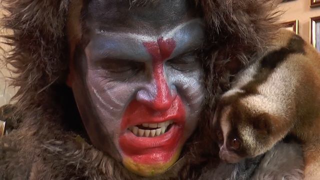 Клип Год обезьяны Clip "Year of the Monkey" смотреть онлайн