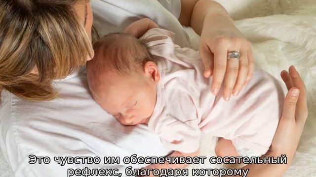 Почему ребенок не засыпает после кормления