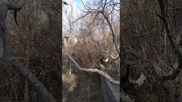 Сочи. А как проходит Ваше утро?) Заскучал - заведи себе кота!) Понравился котейка? 89182070046 смотреть онлайн