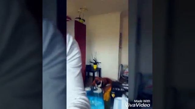 Sinbo humidifiers смотреть онлайн