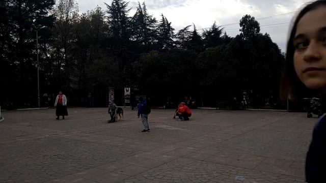 Собака катается на скейте в Сочи смотреть онлайн