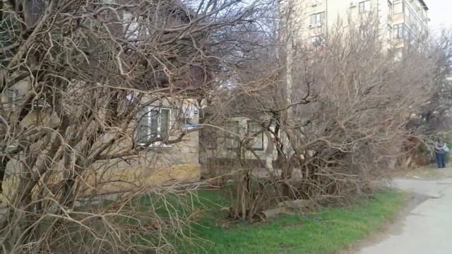 #Анапа.Новый магазин на Некрасова. смотреть онлайн