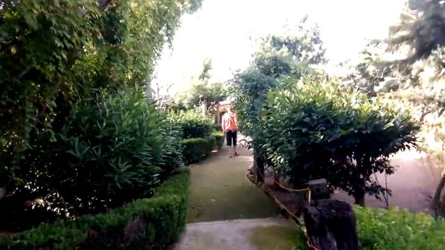 Природа Мексики(12) смотреть онлайн