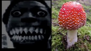 Тебя заставили съесть: