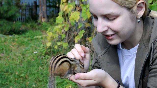 Кристина кормит бурундука Сеню