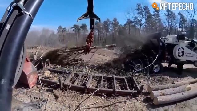 Как измельчают древесину. Спецтехника для измельчения древесины. смотреть онлайн
