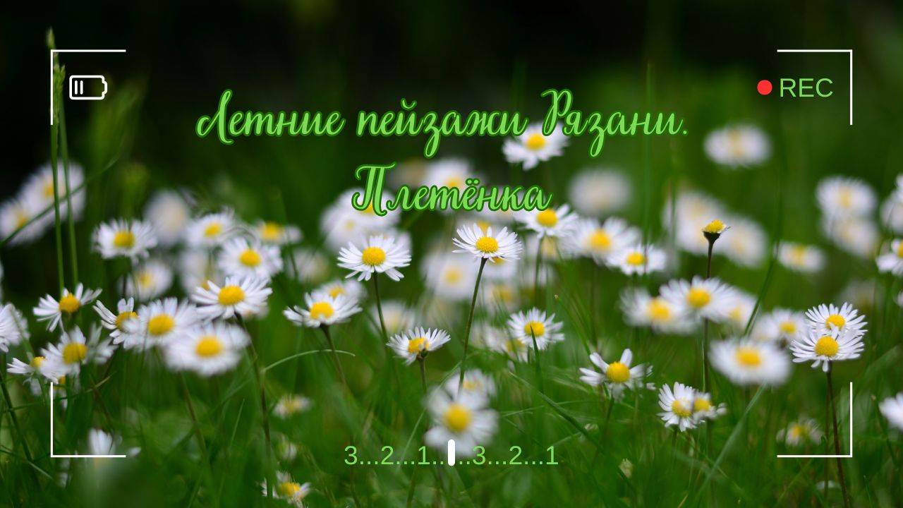 Прогулка по Плетёнке. Природа. Пейзажи. смотреть онлайн