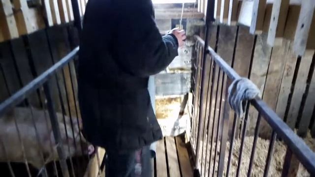 Переделал вытяжку. Что делать с утками. смотреть онлайн