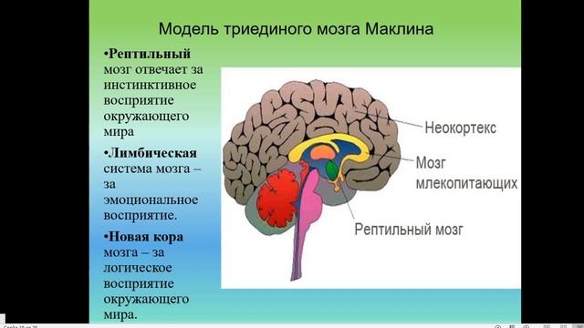 Как определить пихосоматические причины своих болезней смотреть онлайн