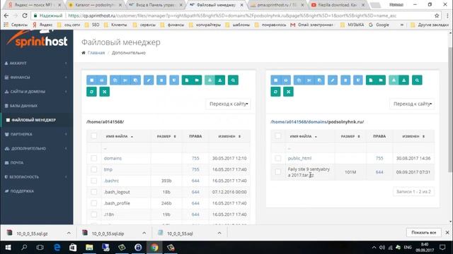 Как сделать резервную копию сайта WP на sprinthost ru смотреть онлайн