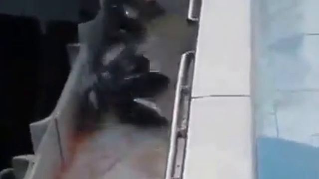 Невероятная рыбалка смотреть онлайн