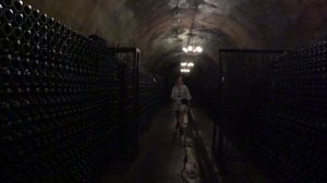 Построили автодом на базе Hyundai Starex и отправились в путешествие!