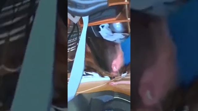 Вот как правильно нужно бегать на беговой дорожке смотреть онлайн