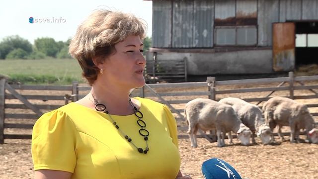 Баран из хозяйства Самарской области занял первое место на всероссийской выставке смотреть онлайн