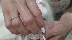 уход за глазами мальтезе