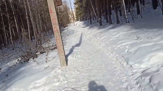 В Екатеринбурге уничтожат лес на Уктусе