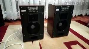 TPA3116D2 обзор усилителя на микросхеме ТПА3116