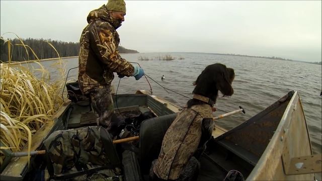 Как расставить большую стаю утиных чучел на большой воде смотреть онлайн