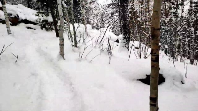 ТАГАНАЙ НАЦИОНАЛЬНЫЙ ПАРК, двуглавая сопка перья. Зимний подъем. смотреть онлайн