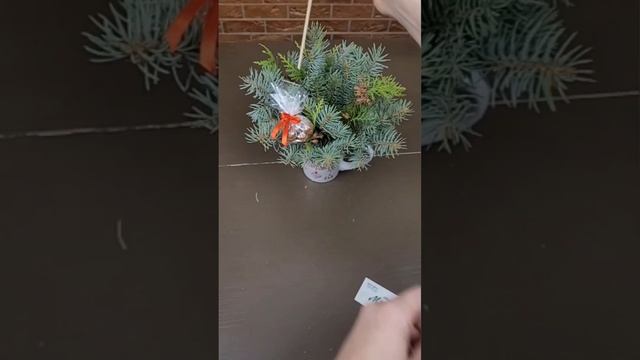 Новогодняя композиция в чайной кружке с конфетами и орехами Экспресс мастер класс смотреть онлайн