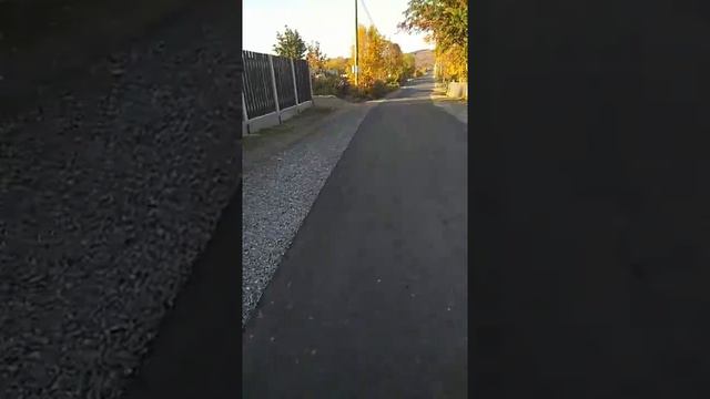 Дорога без дорожных знаков, а машины летят как сумасшедшие. смотреть онлайн