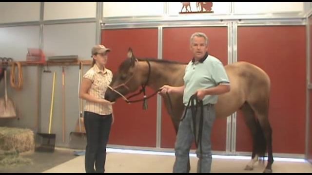 How to Hook up Git-Down-Rope Bosal смотреть онлайн