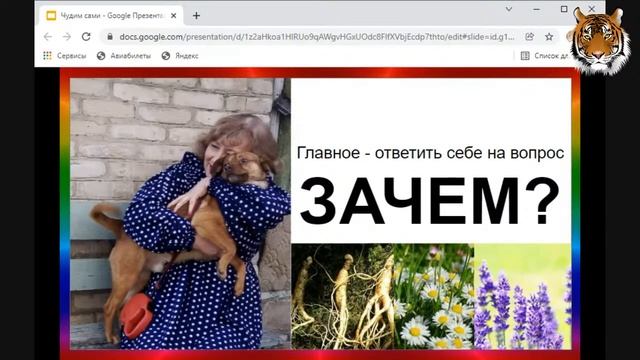 СРОЧНЫЙ ВЕБИНАР - Как стать Любимчиком Фортуны в 2022 году смотреть онлайн