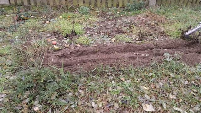 Cultivator attachment for a petrol brush cutter смотреть онлайн