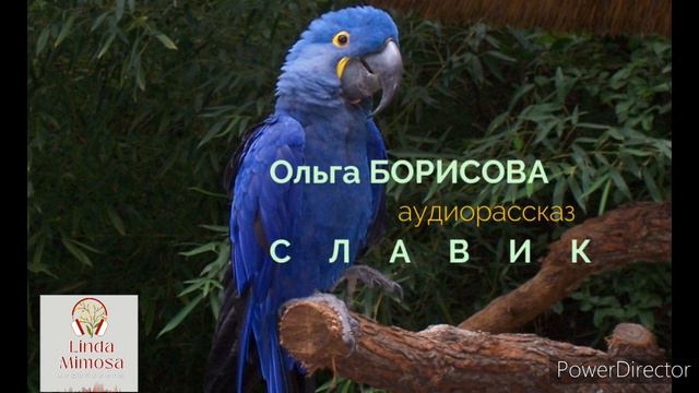 Аудиорассказ 