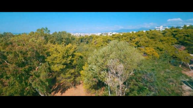 Relaxing Cinematic FPV 4K | Tree Surfing | Geprc Cinelog 35 HD