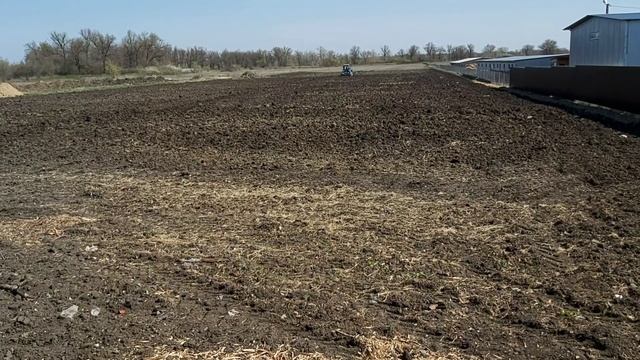 Закладываю ягодный питомник с нуля.(малина,клубника,голубика,ежевика на юге России) смотреть онлайн