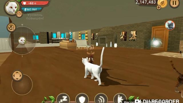 Акк 200.999 и бессмертие, на игру Cat Sim смотреть онлайн