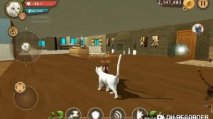 Акк 200.999 и бессмертие,  на игру Cat Sim