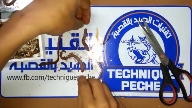 How to hook worms Fishing live bait смотреть онлайн