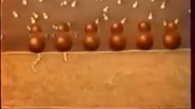 ЭПС и Аппарат Гольджи смотреть онлайн