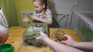 клетка для морской свинки своими руками из пластикового контейнера