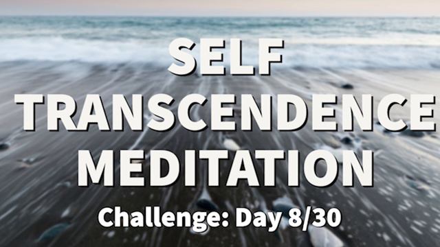 Meditation for TRANSCENDENCE - Transcendental Experience | 2022 Challenge - Day 8 | Raphael Reiter смотреть онлайн