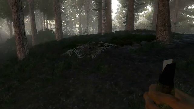 Играем в TheHunter #4 - Повеселились вдвоём ! смотреть онлайн