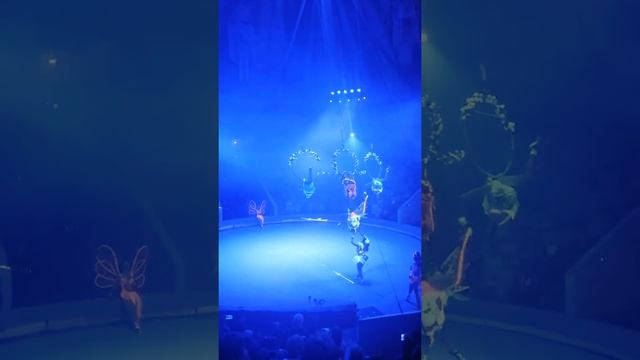 Цирк челябинск смотреть онлайн